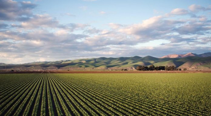 Banda ultra larga, intesa Confagricoltura-Open Fiber