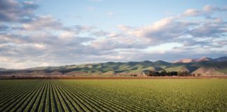 Banda ultra larga, intesa Confagricoltura-Open Fiber