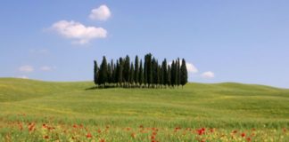 Estate in Toscana, operatori si preparano per rilancio turismo