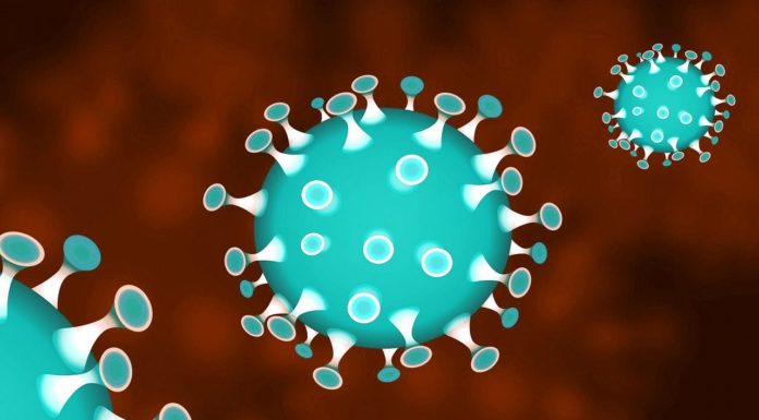 Coronavirus, nasce il super archivio dei pazienti