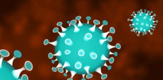 Coronavirus, nasce il super archivio dei pazienti