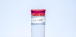 In Alto Adige nessun nuovo positivo al Covid-19