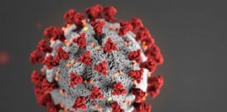 Osservatorio Salute, Bolzano e Trento prime dal 21/5 con zero casi Covid