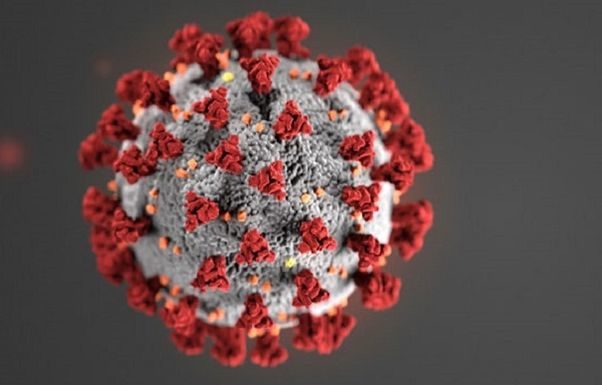 Osservatorio Salute, Bolzano e Trento prime dal 21/5 con zero casi Covid