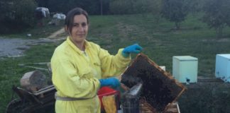 Il 20 maggio la Giornata mondiale dell’ape, Cia “specie da tutelare”