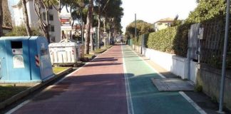 Bando da 5 milioni per alberi e piste ciclabili in Toscana