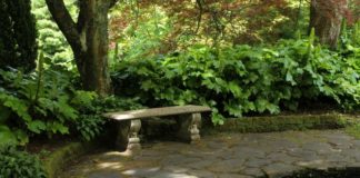 Un archivio green “open data” per il verde pubblico sostenibile