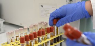 Emiliano “Isolato e sequenziato genoma di 2 virus Sars Cov 2”