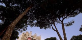 Sogin provvederà alla disattivazione della centrale nucleare di Latina