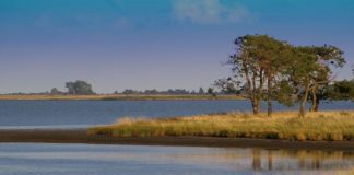 Rete Natura 2000, finanziamenti straordinari Parchi e Aree Marine