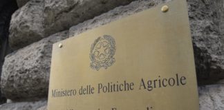 Tavolo emergenza alimentare, in consegna 50 mila tonnellate di cibo