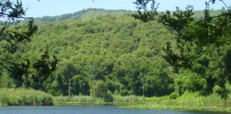 Domenica giornata delle Oasi Wwf per scoprire valore aree protette