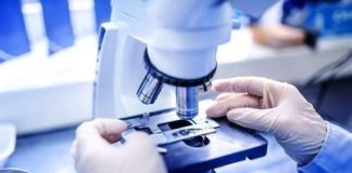 Telethon, al via progetto di ricerca sul Covid-19 in Campania