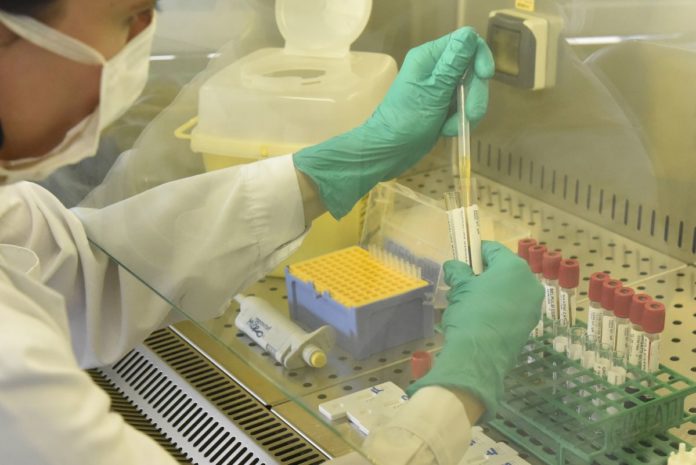 FASE 2, LABORATORIO MULTIMEDICA ANALISI TEST SIEROLOGICI