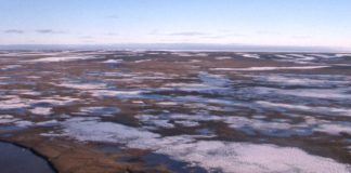 Clima, caldo record a maggio in Siberia