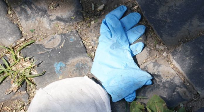 Pecoraro Scanio”Il governo sostenga dpi riutilizzabili,danni da monouso”