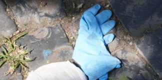 Pecoraro Scanio”Il governo sostenga dpi riutilizzabili,danni da monouso”