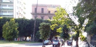 A Catania progetto 2mila nuovi alberi, già messi a dimora 250 arbusti