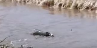 Servizio antinquinamento marino esteso a plastica galleggiante