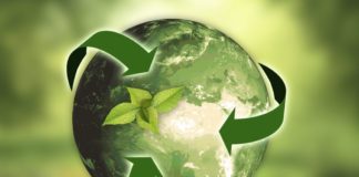 Piano da 60mila euro per centri educazione ambientale in Liguria