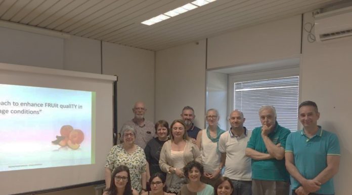 Ricerca, un metodo rapido per predire la qualità di un frutto