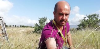 Emergenza cavallette in Sardegna, l’allarme della Coldiretti