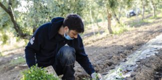 Dalla “Pietra di scarto” opportunità occupazionali