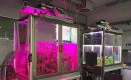 Il microcosmo Enea-Fos mette “radici” al Nord