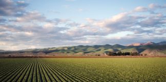 Sud, dall’agricoltura sociale un’opportunità di crescita