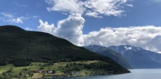 P&G e Corepla lanciano una campagna in favore dei parchi