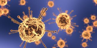 Coronavirus, nessun nuovo decesso in Valle D’aosta