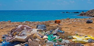 Da Consorzio Net e Corepla campagna per salvaguardia mare da plastica