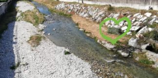 Biodiversità, nuova esperienza naturalistica in Versilia