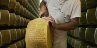 Al via nuovo progetto editoriale del Consorzio Parmigiano Reggiano