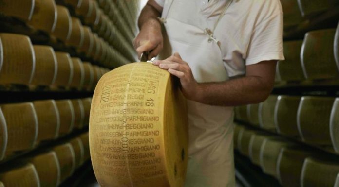 Al via nuovo progetto editoriale del Consorzio Parmigiano Reggiano