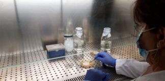 Coronavirus, task force dell’Ateneo di Palermo per verifica mascherine