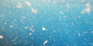 Al via il progetto Hotmic contro la microplastica nell’Atlantico