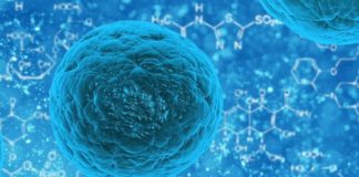 Coronavirus, nessun nuovo positivo in Basilicata