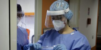 Coronavirus, i nuovi casi in Italia sono 338