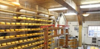 In Piemonte tonnellate di formaggi invenduti, allarme produttori