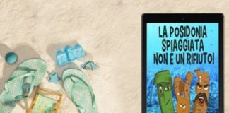 Mare, dal Lazio un modello di spiaggia ‘green’ per l’Italia