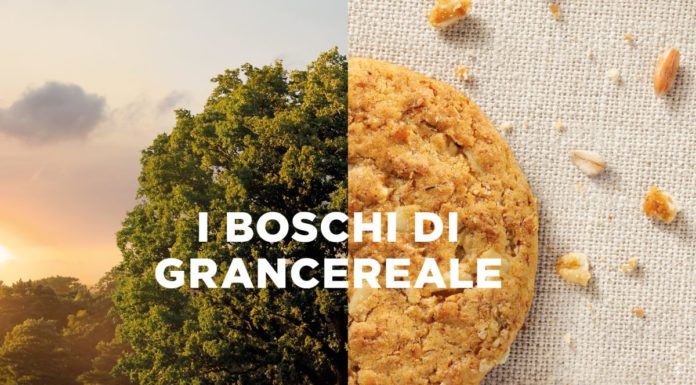 World Rainforest Day, Gran Cereale ripristina 6 boschi italiani