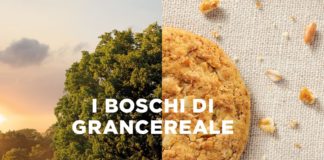 World Rainforest Day, Gran Cereale ripristina 6 boschi italiani