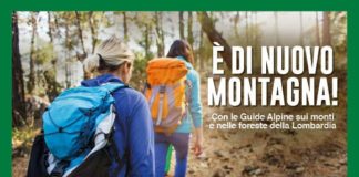 Da luglio a ottobre 43 escursioni gratuite nelle foreste lombarde