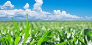 In arrivo 1,5 mln per i consorzi di bonifica calabresi