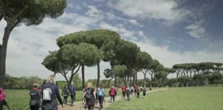 Sclerosi multipla, le tecnologie digitali migliorano l’assistenza