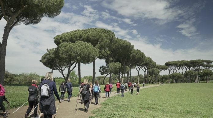 Sclerosi multipla, le tecnologie digitali migliorano l’assistenza