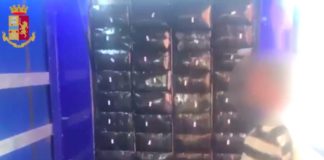 Autotrasportatore arrestato a Milano con 350 kg di Hashish