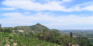 Sviluppo, in Piemonte erogati 70 milioni a sosegno degli agricoltori