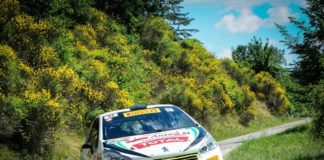 Peugeot Competition 208 Rally Cup. Straffi di nuovo leader al Casentino